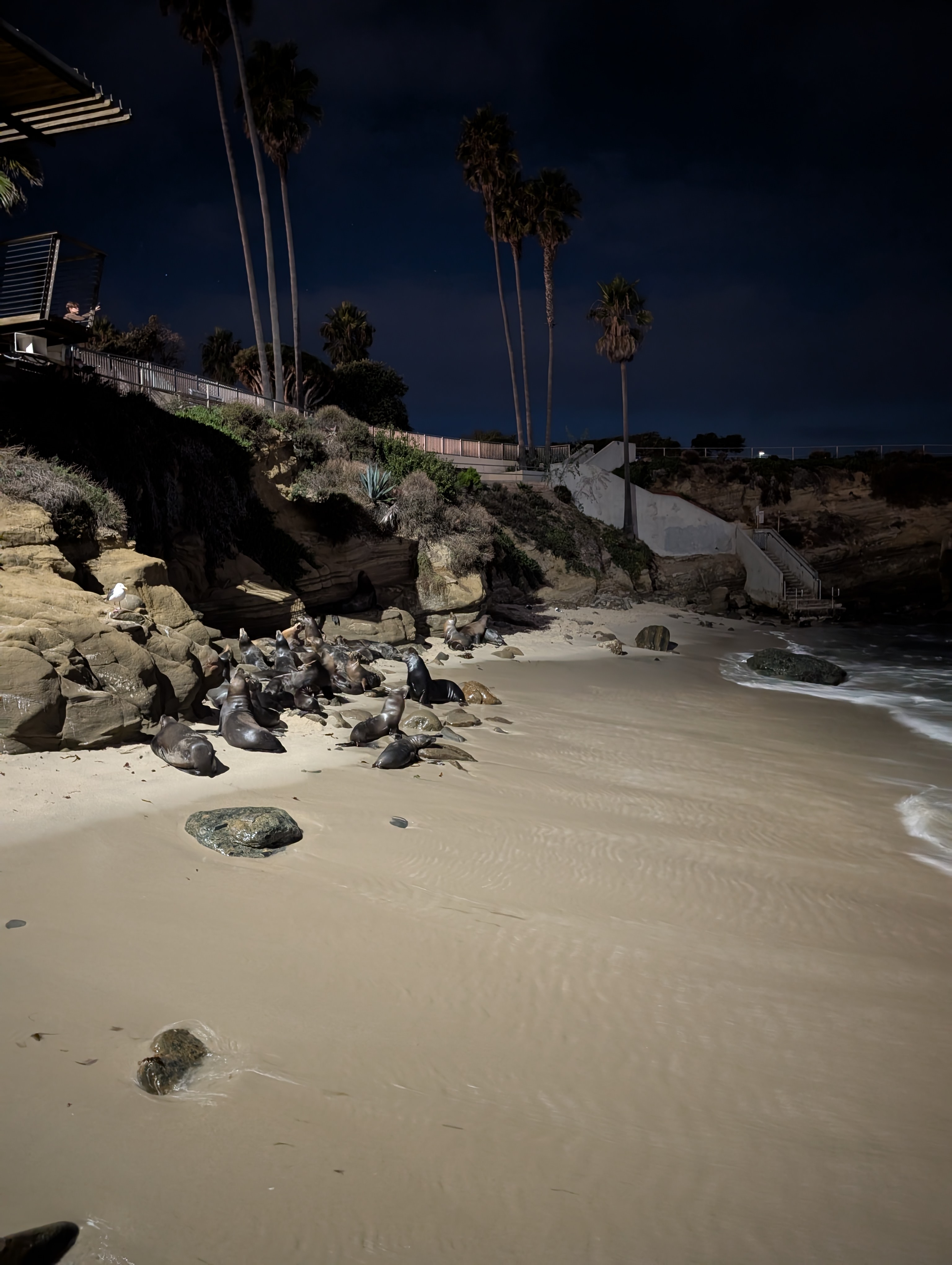 La Jolla Cove